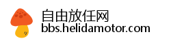 自由放任网
